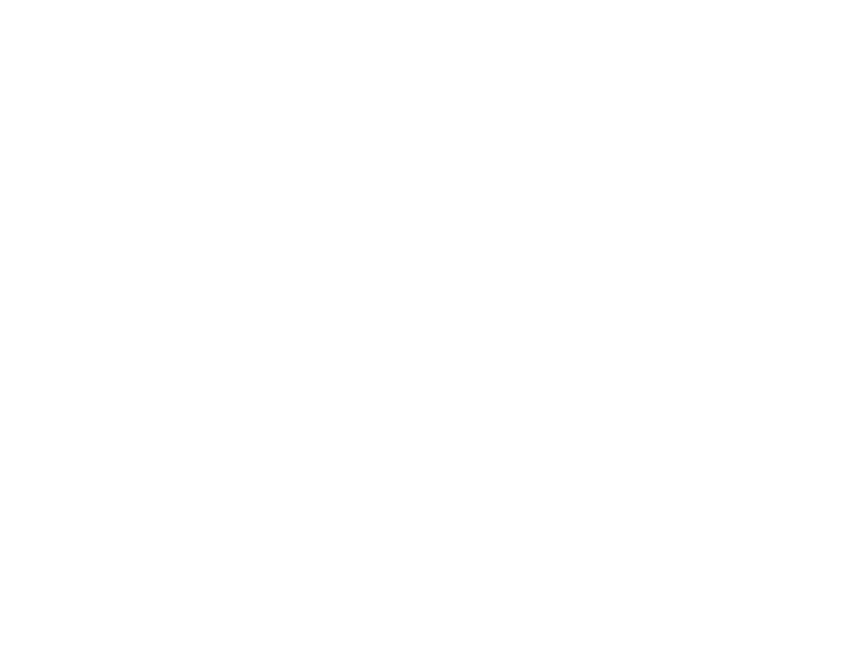 KIS Security